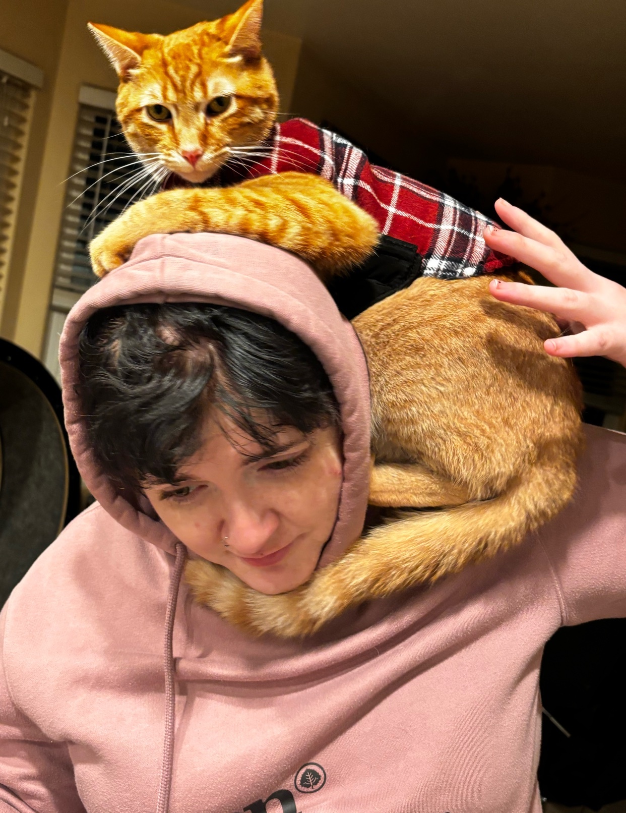 A woman wears a pink hoodie with a cat perched on her shoulders. The cat is orange and wearing a plaid shirt.