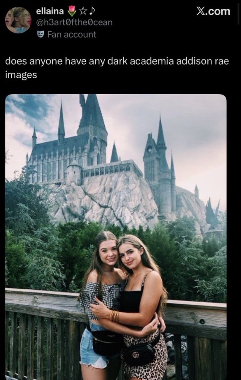 Two young women pose for a photo in front of a large castle, reminiscent of Hogwarts from the Harry Potter series. The image appears to be taken at a theme park.