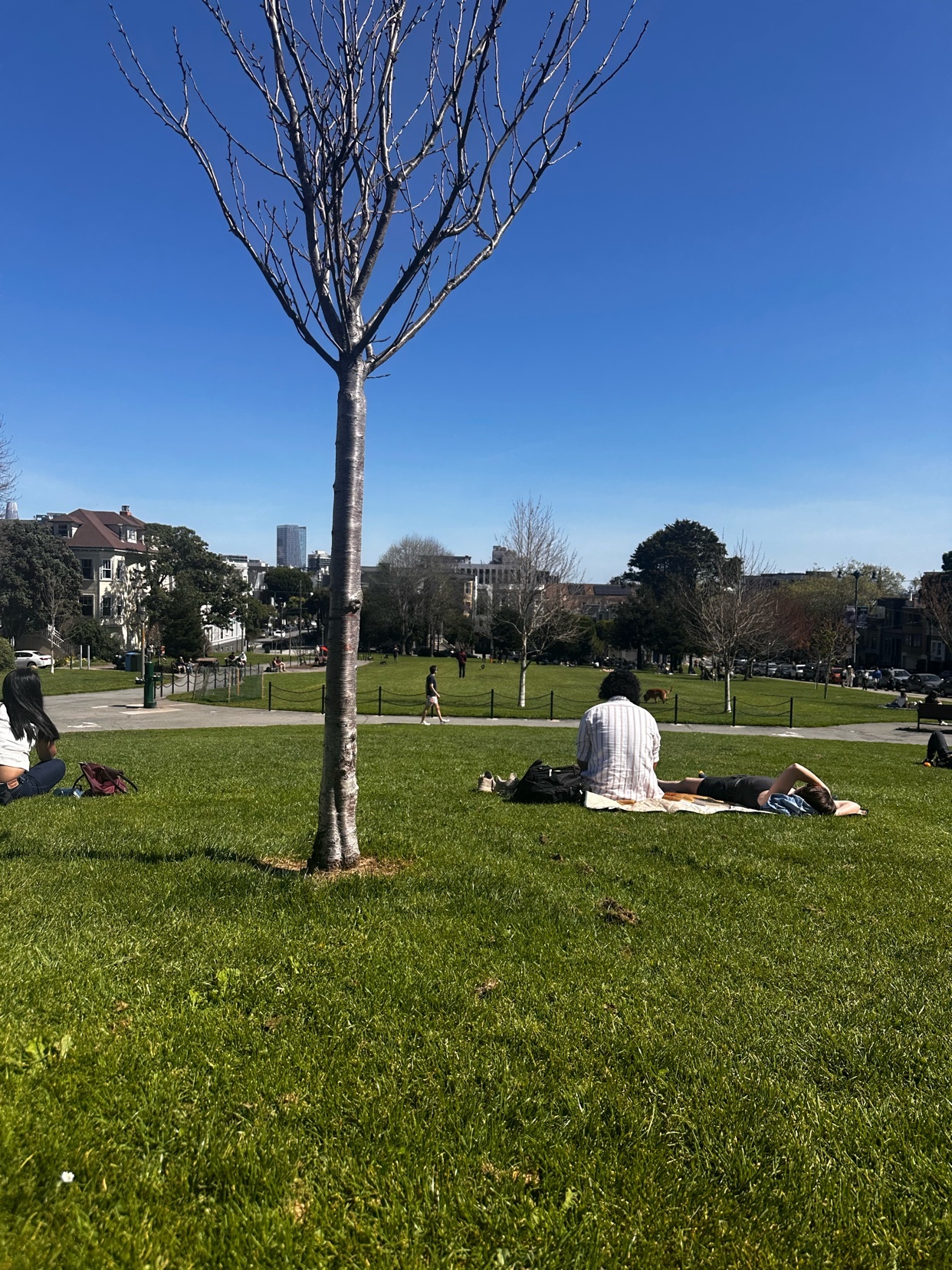 Two people relax on the grass in a park on a sunny day, with trees and buildings in the background under a clear blue sky.