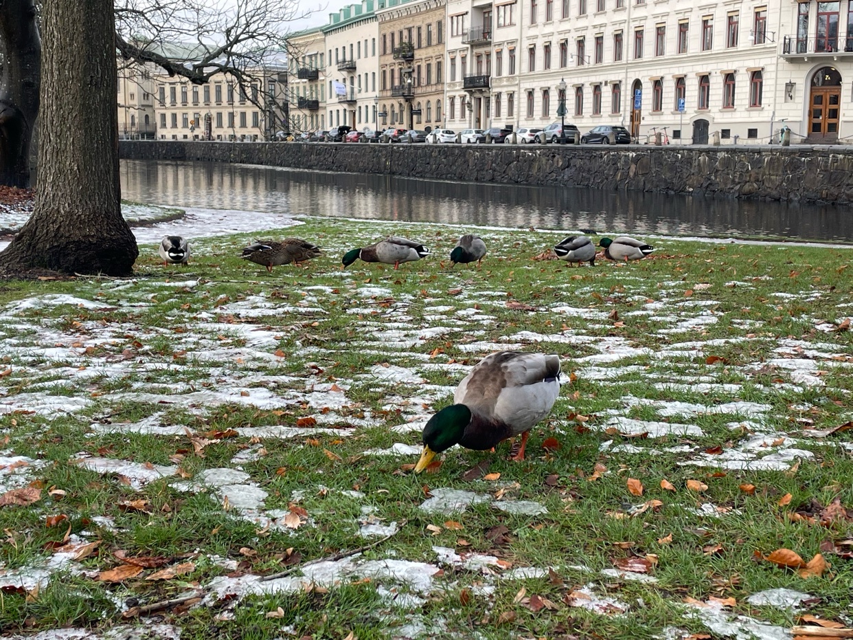 Photo by pedrofpclima