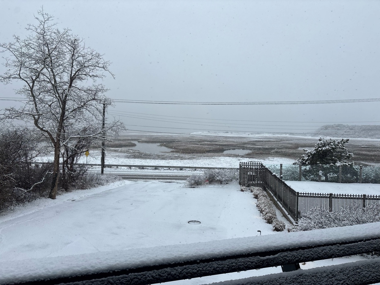 A snowy landscape in Provincetown. The image captures a winter scene with snow-covered ground and trees.