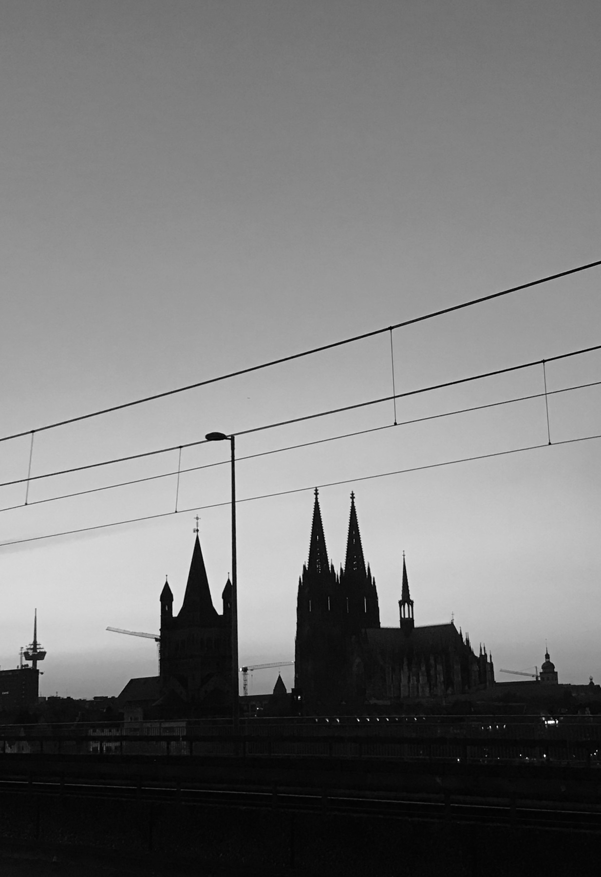 Photo by son_of_a_gun