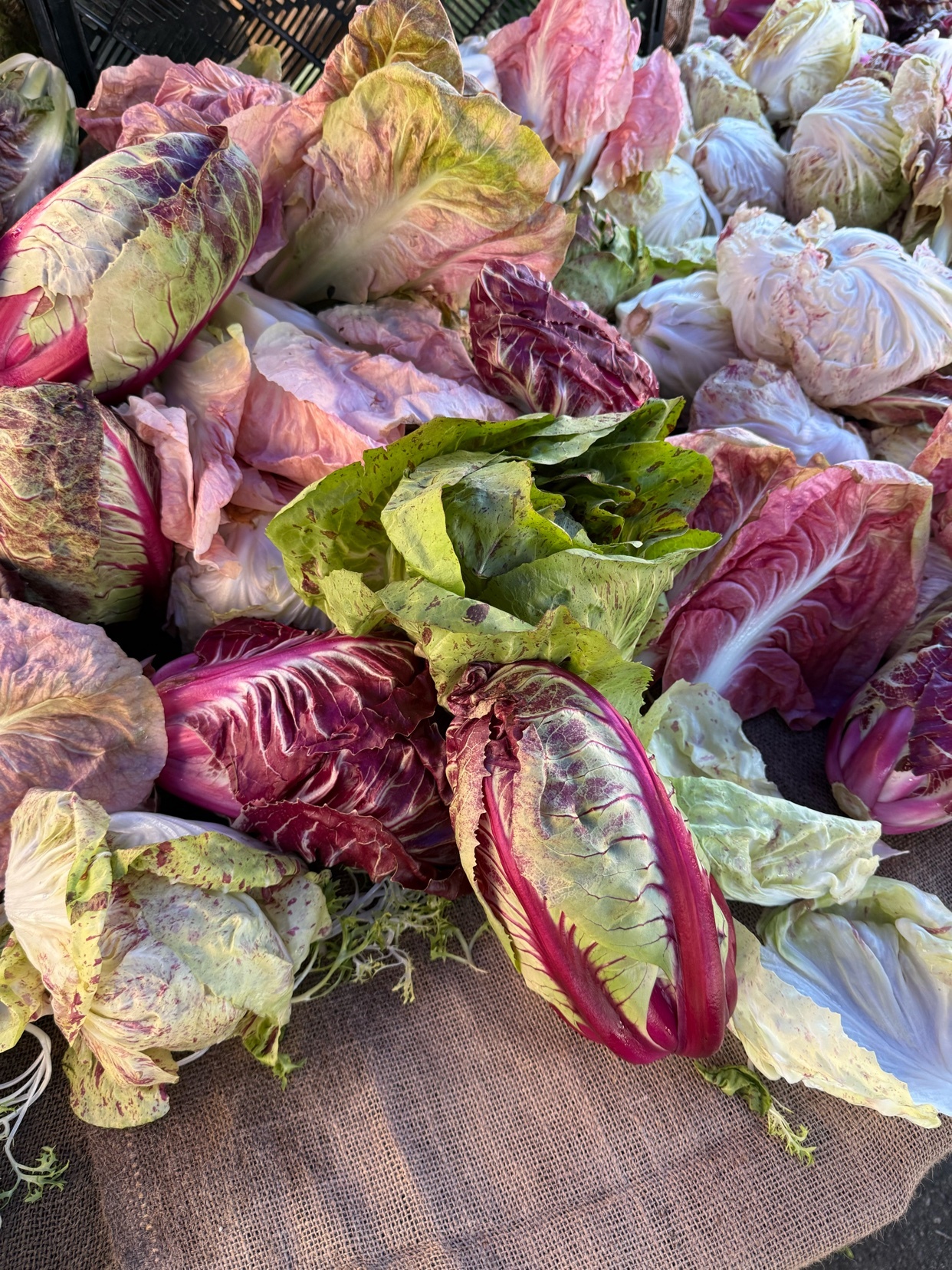 Photo by byjoshjames