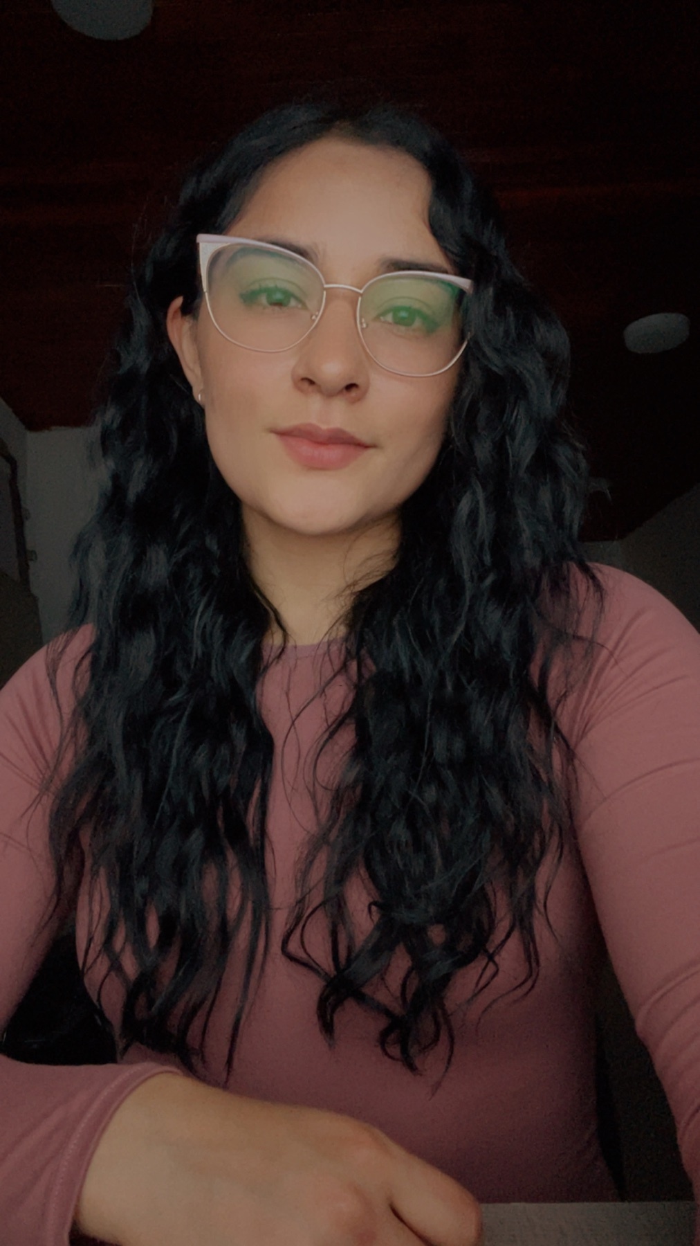 A woman with long, dark, curly hair and glasses looks directly at the camera. She is wearing a pink long-sleeved shirt and is seated at a desk.