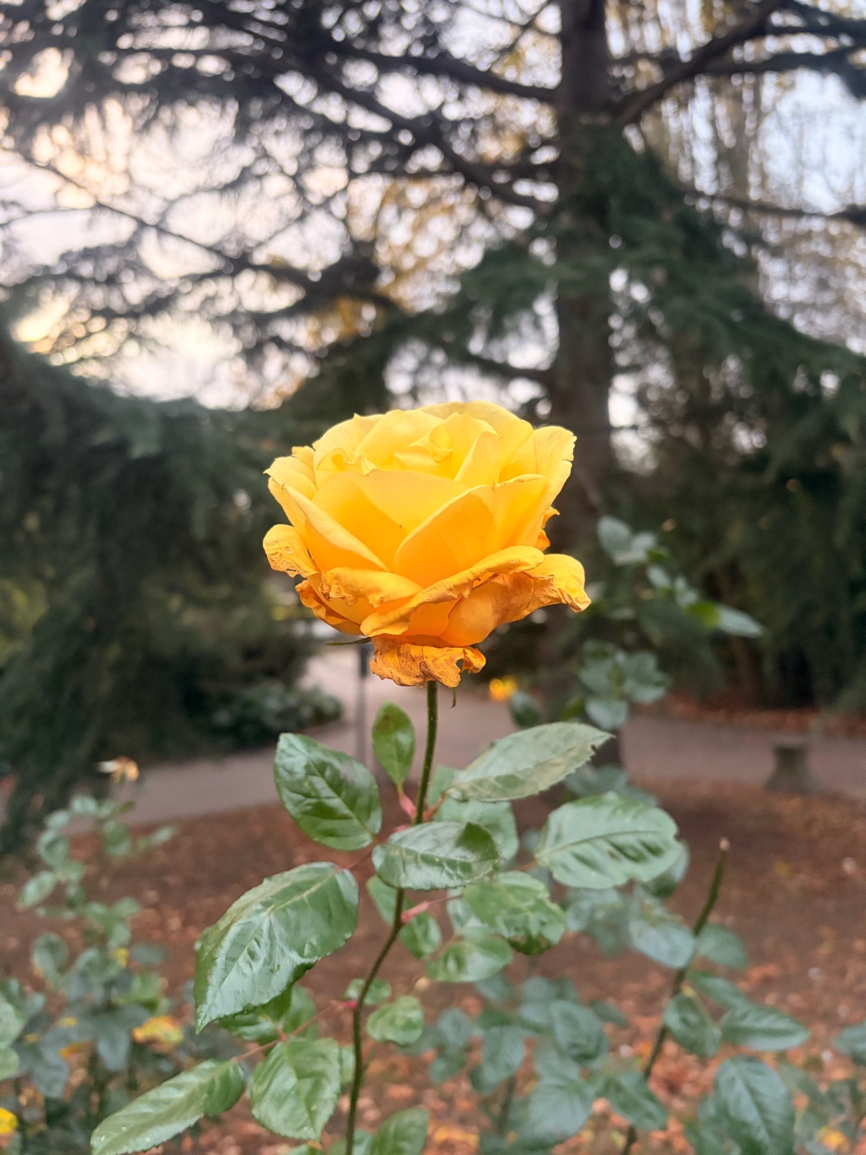 Photo by sabrinacarpenter