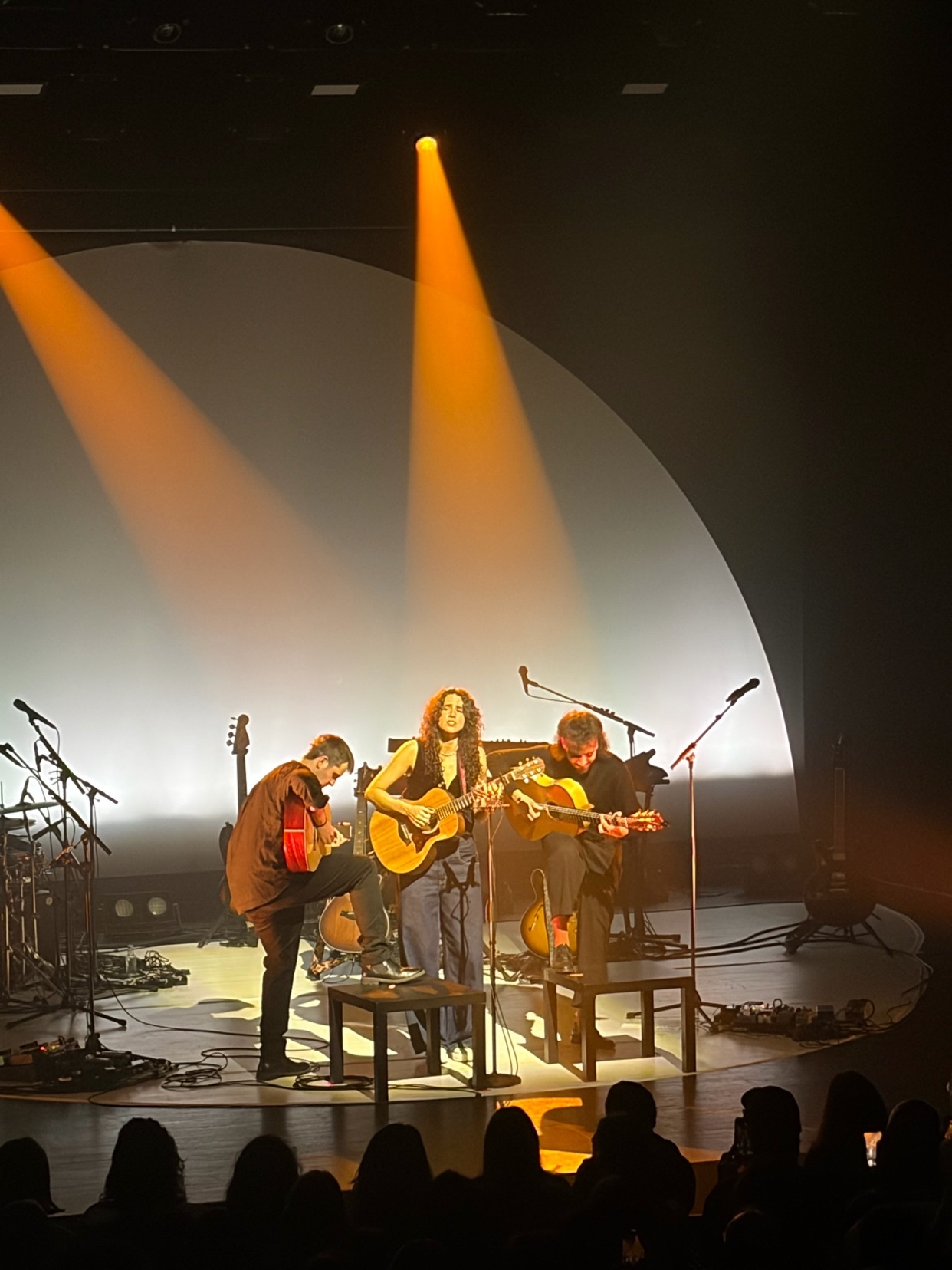 A woman sings and plays guitar on stage, flanked by two men also playing guitars. They are illuminated by warm spotlights in front of a large, curved screen, with an audience visible in the foreground.