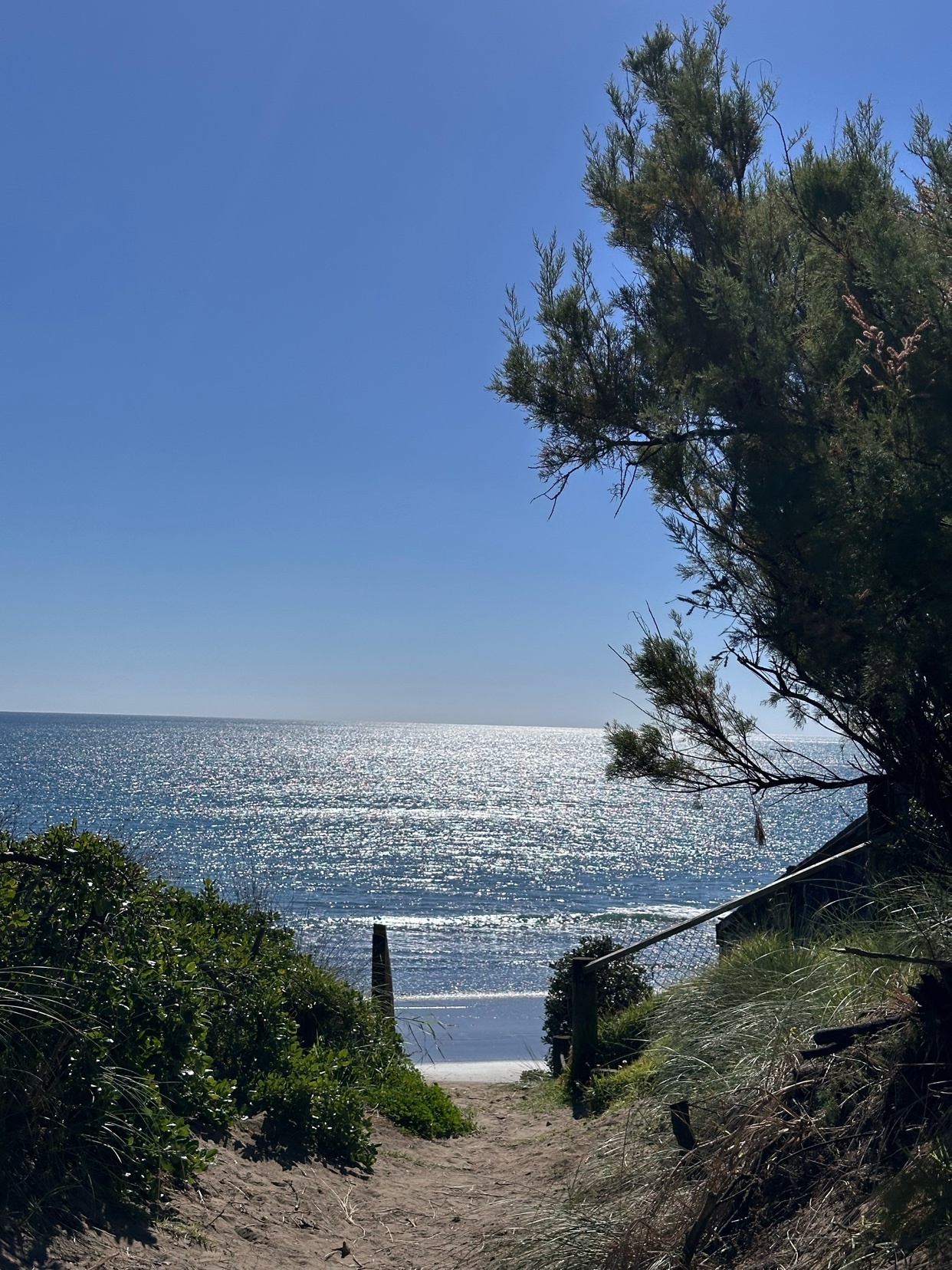 A sun-drenched path leads through coastal foliage towards a sparkling ocean under a clear blue sky. A rustic wooden structure is partially visible on the right, nestled amongst the greenery.