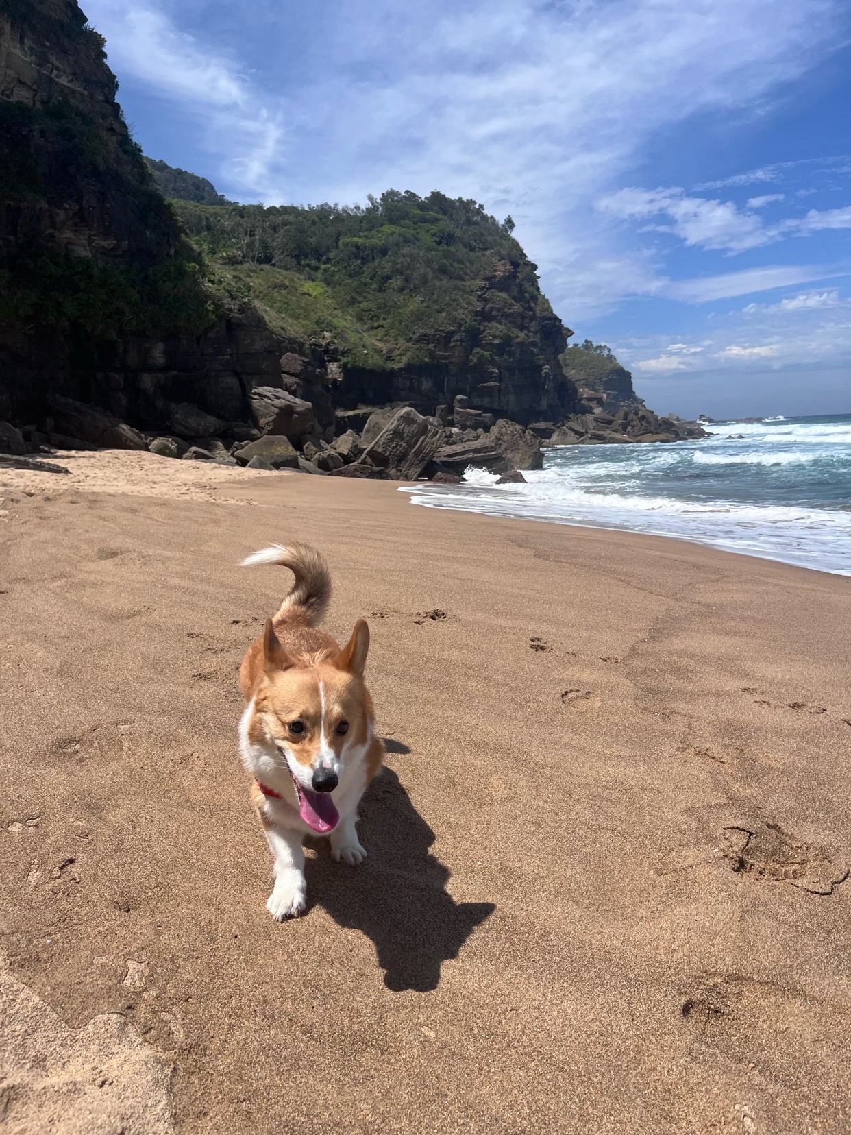 Photo by travellingchico