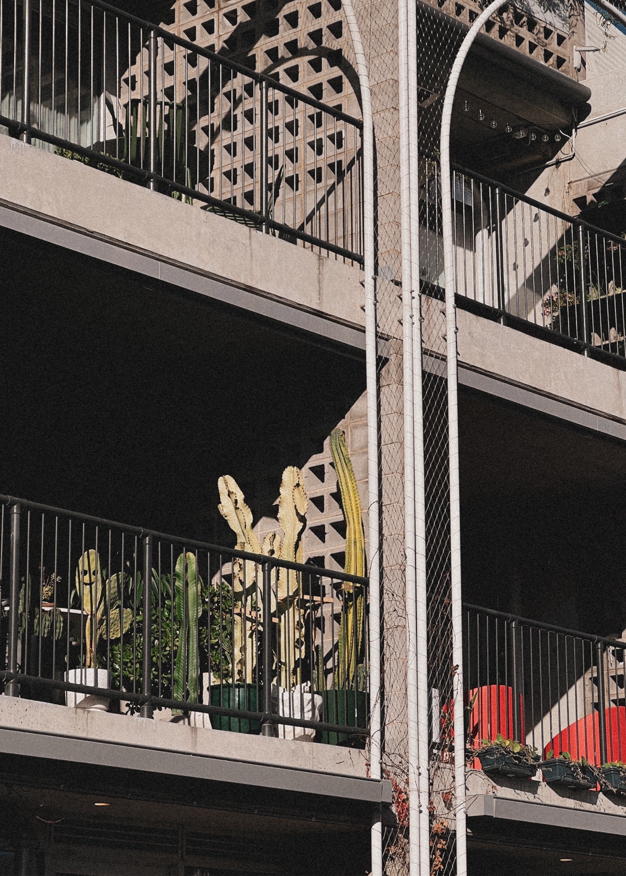 Photo by micocueco / Mico on Collective