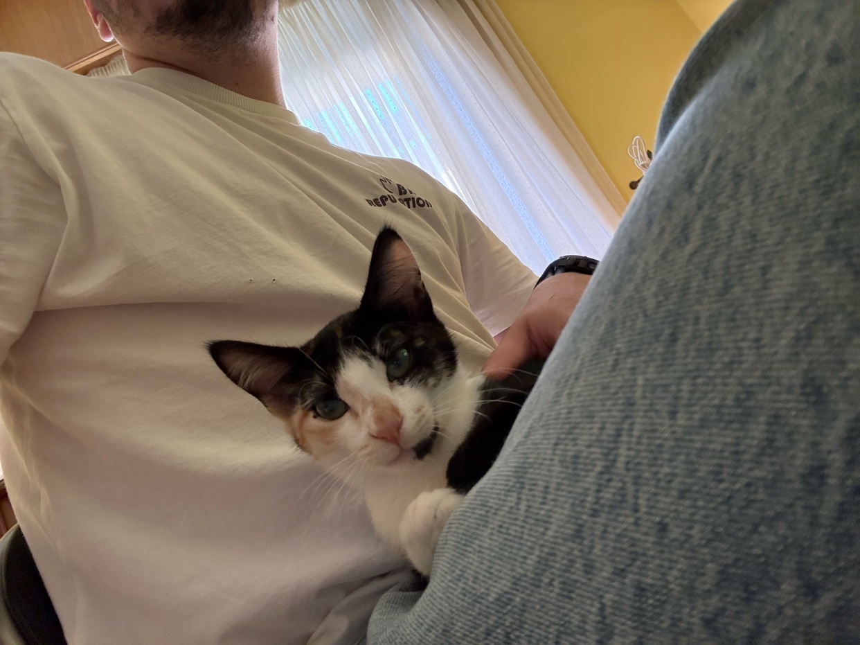 Photo by java_has_crashed