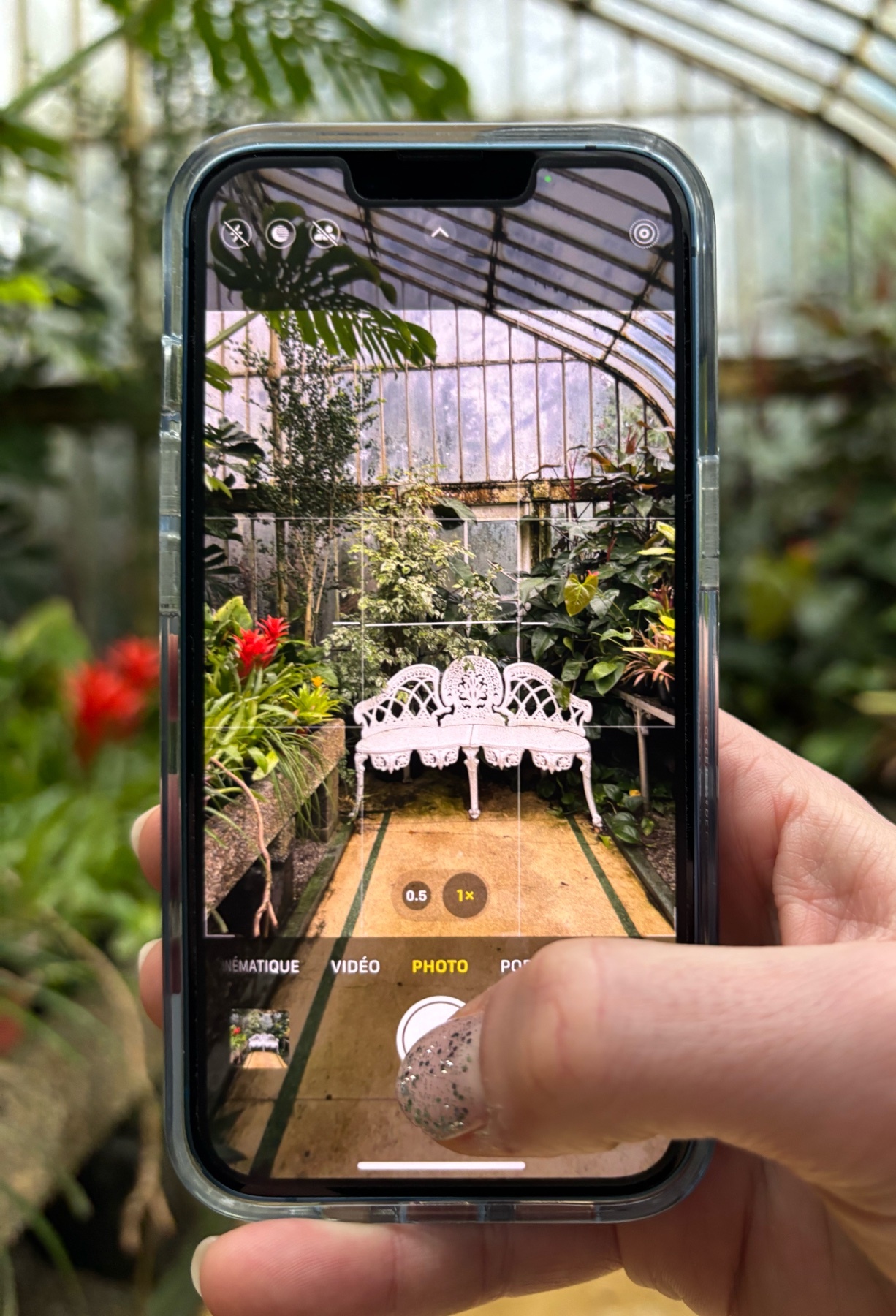 A person takes a photo of a greenhouse interior with a white bench. The image is framed by the phone's camera interface.