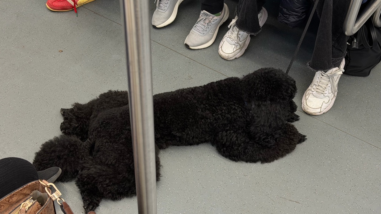 Photo by maxestrella