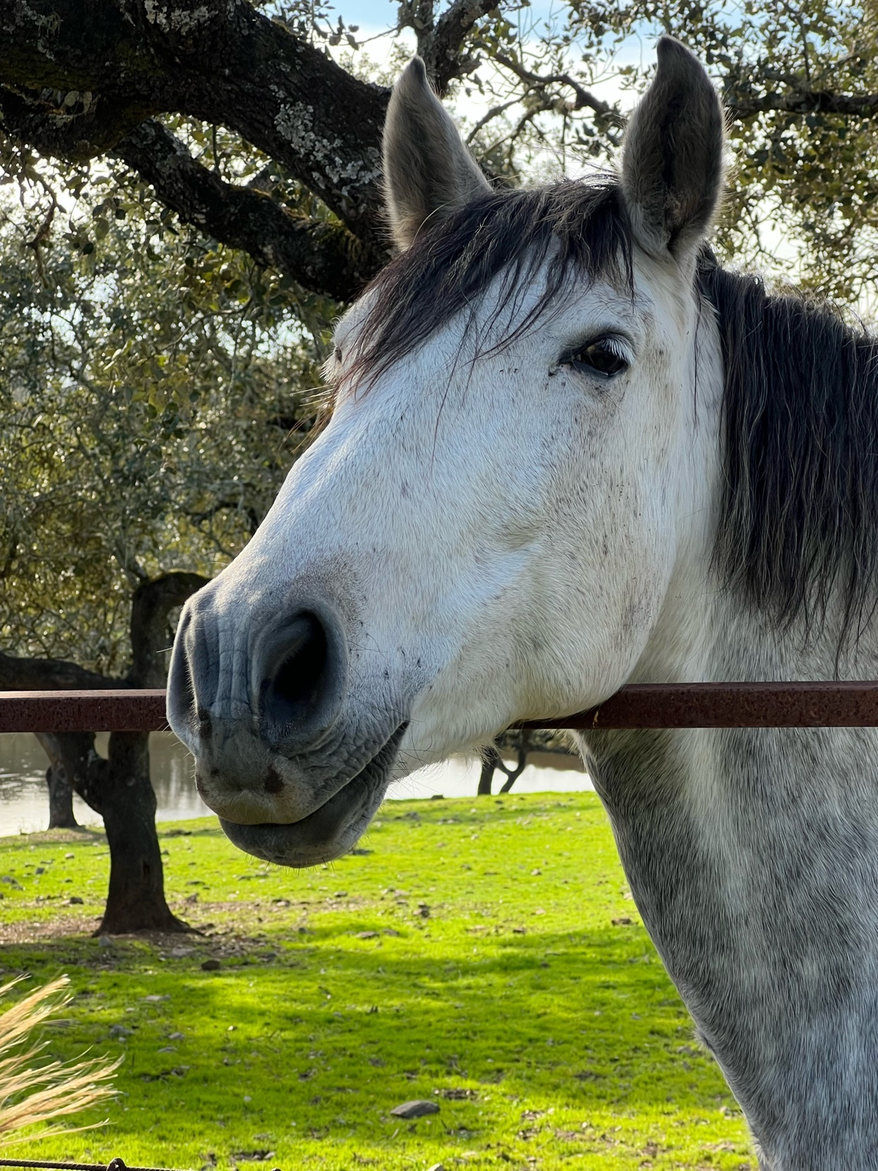 Photo by lebedev_paul