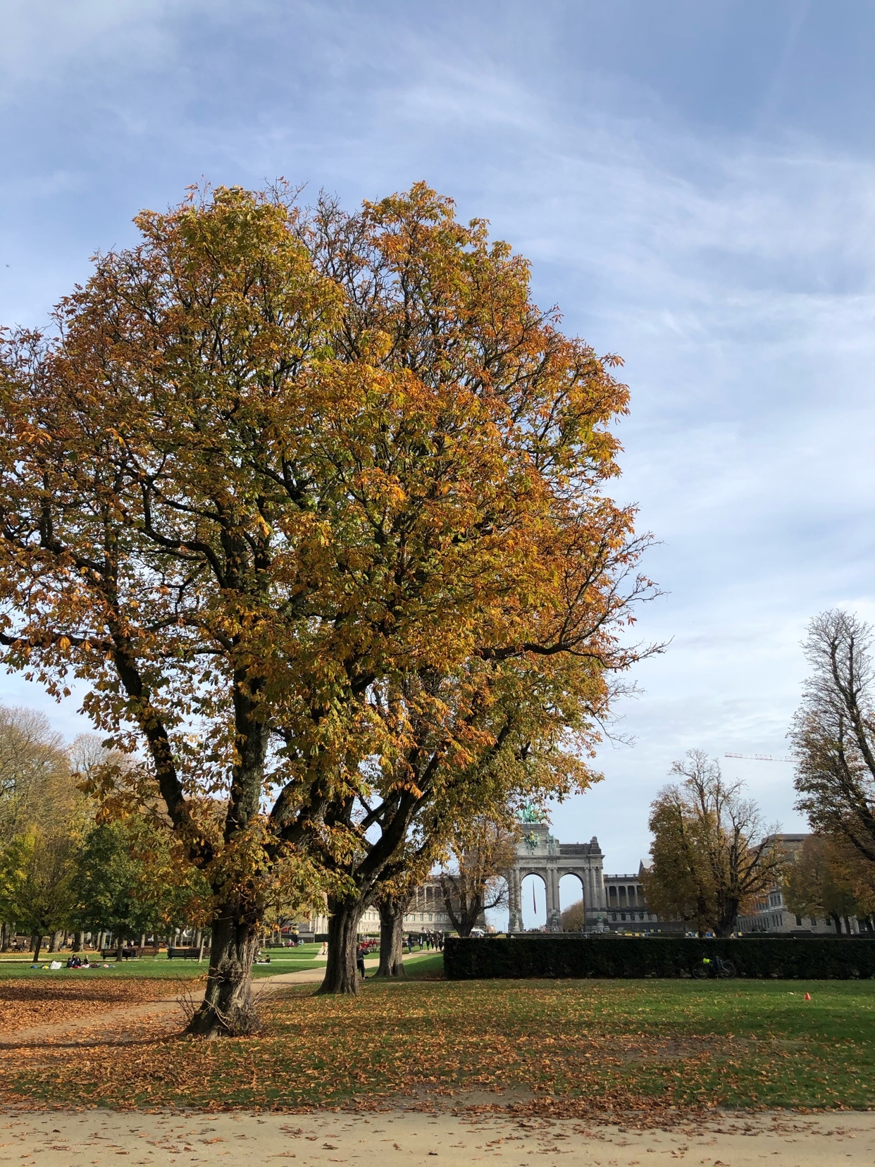 Photo by oandreoliveiracosta