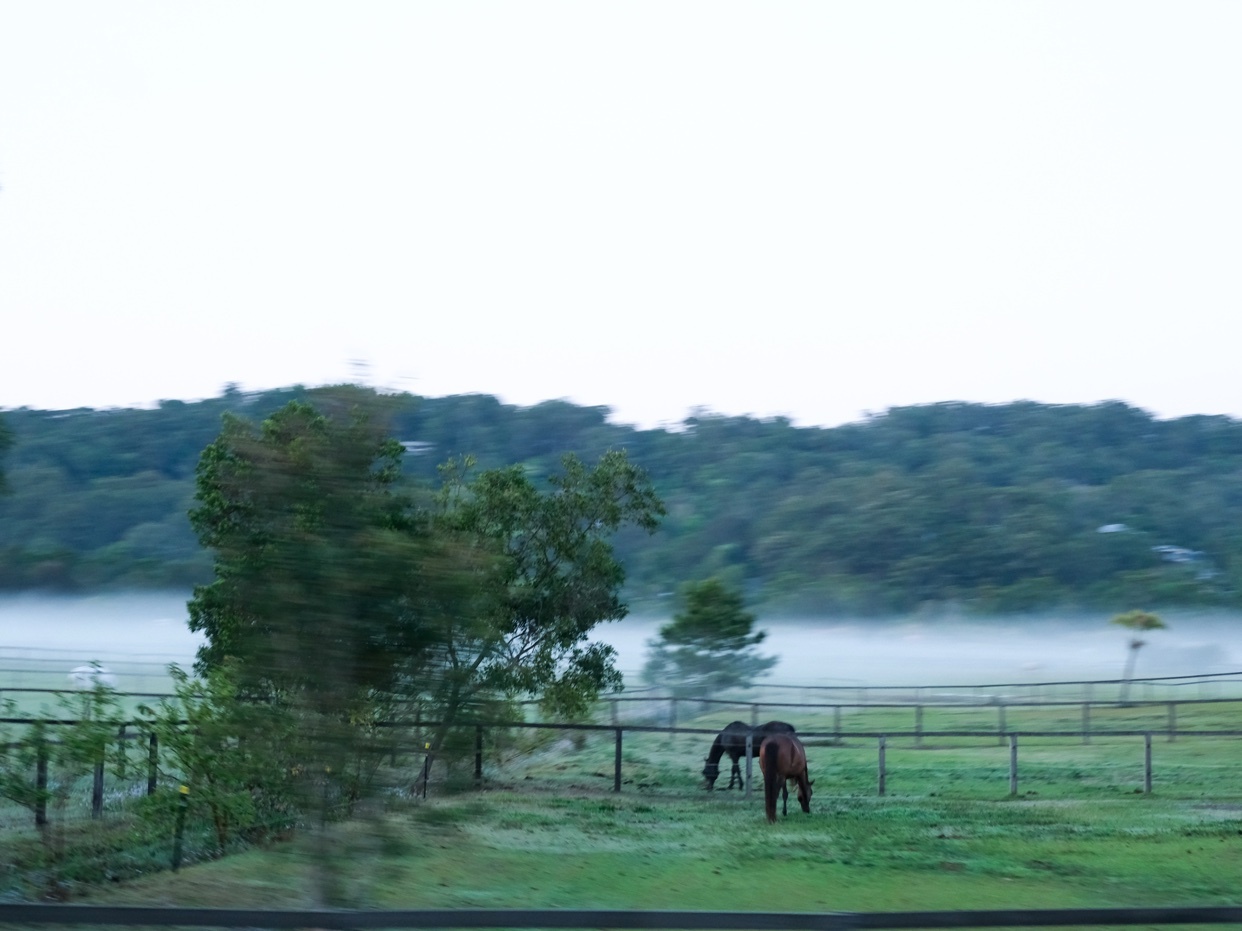 Photo by ezequielcarmona