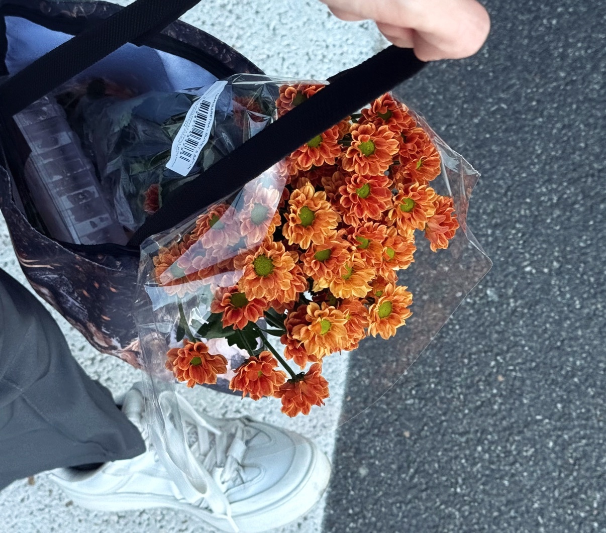 Photo by sebastianwichro