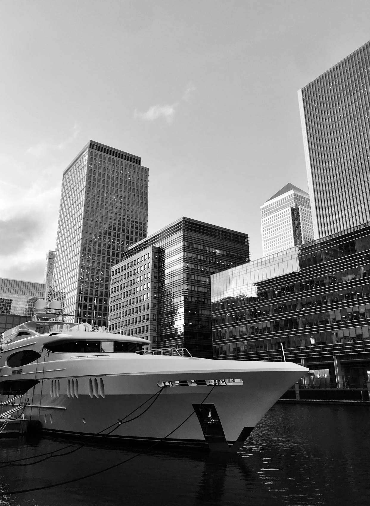 Photo by son_of_a_gun