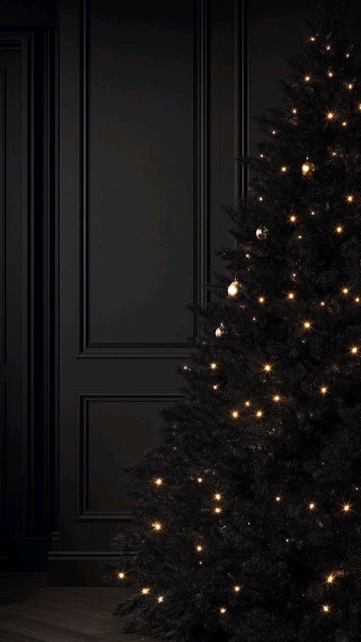 Photo by little.warri0r