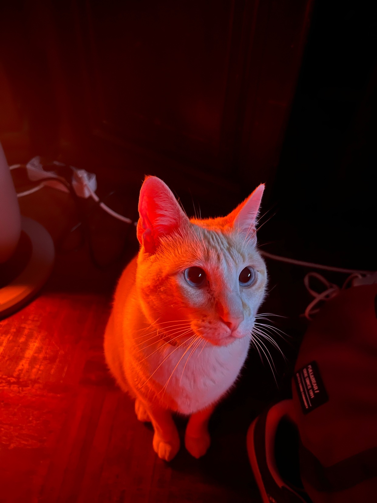 Photo by antuneeeesx