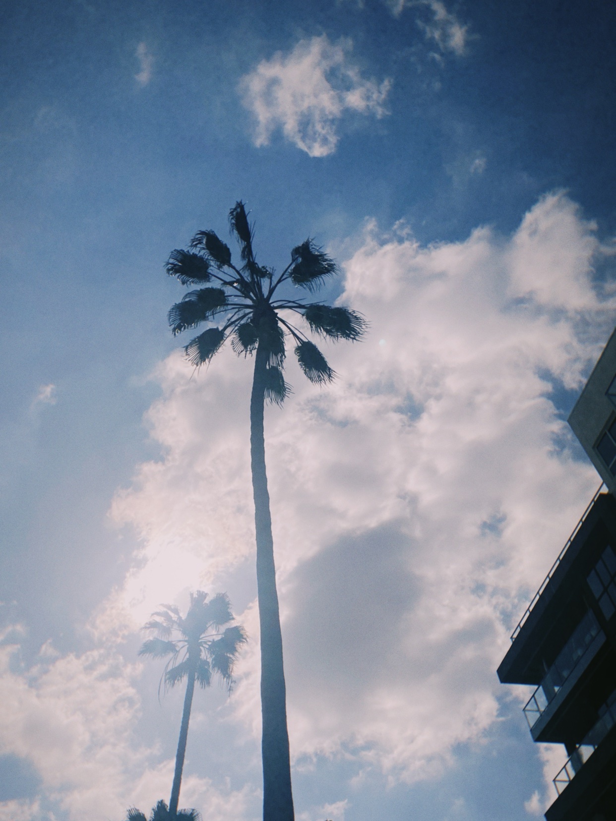 Photo by rodmann / Rodmann on Collective