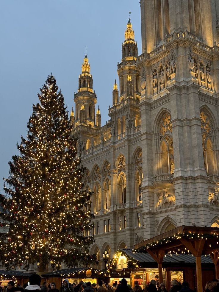 Photo by little.warri0r