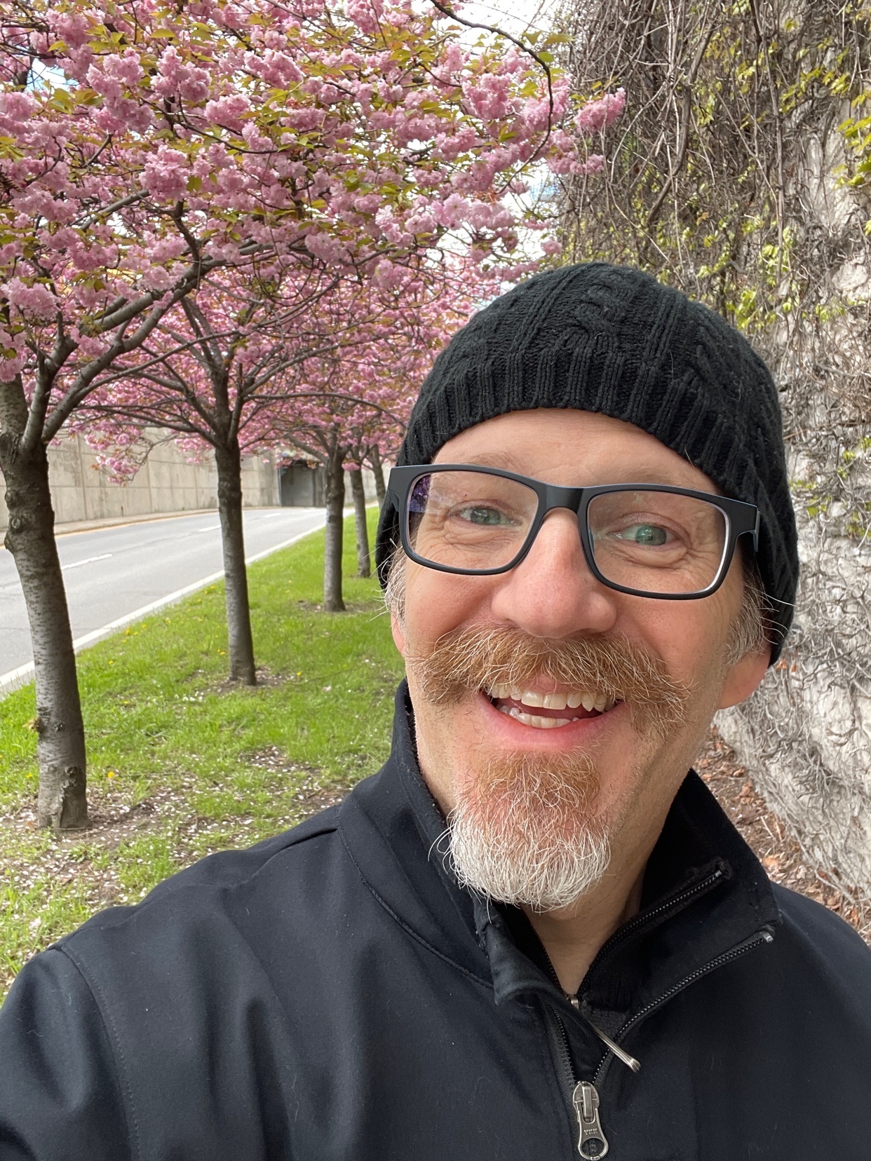 A man with glasses, a beanie, and a goatee smiles for a selfie in front of a row of cherry blossom trees in bloom.