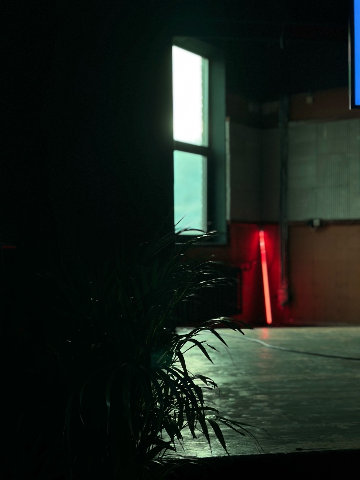 A dimly lit interior with a window and a plant in the foreground. The scene is minimalist and modern, with a red light adding a pop of color.