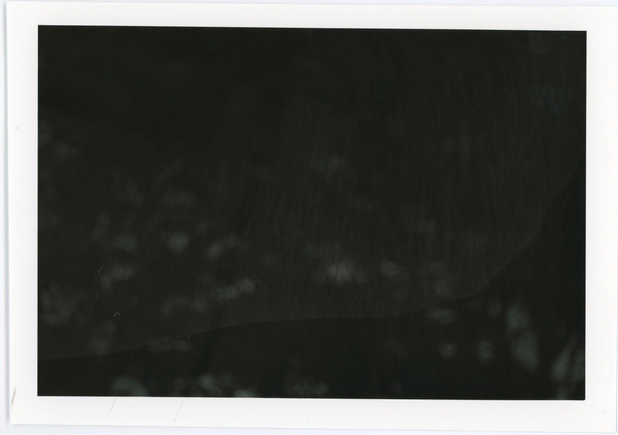 Photo by kayle / Kayle on Collective