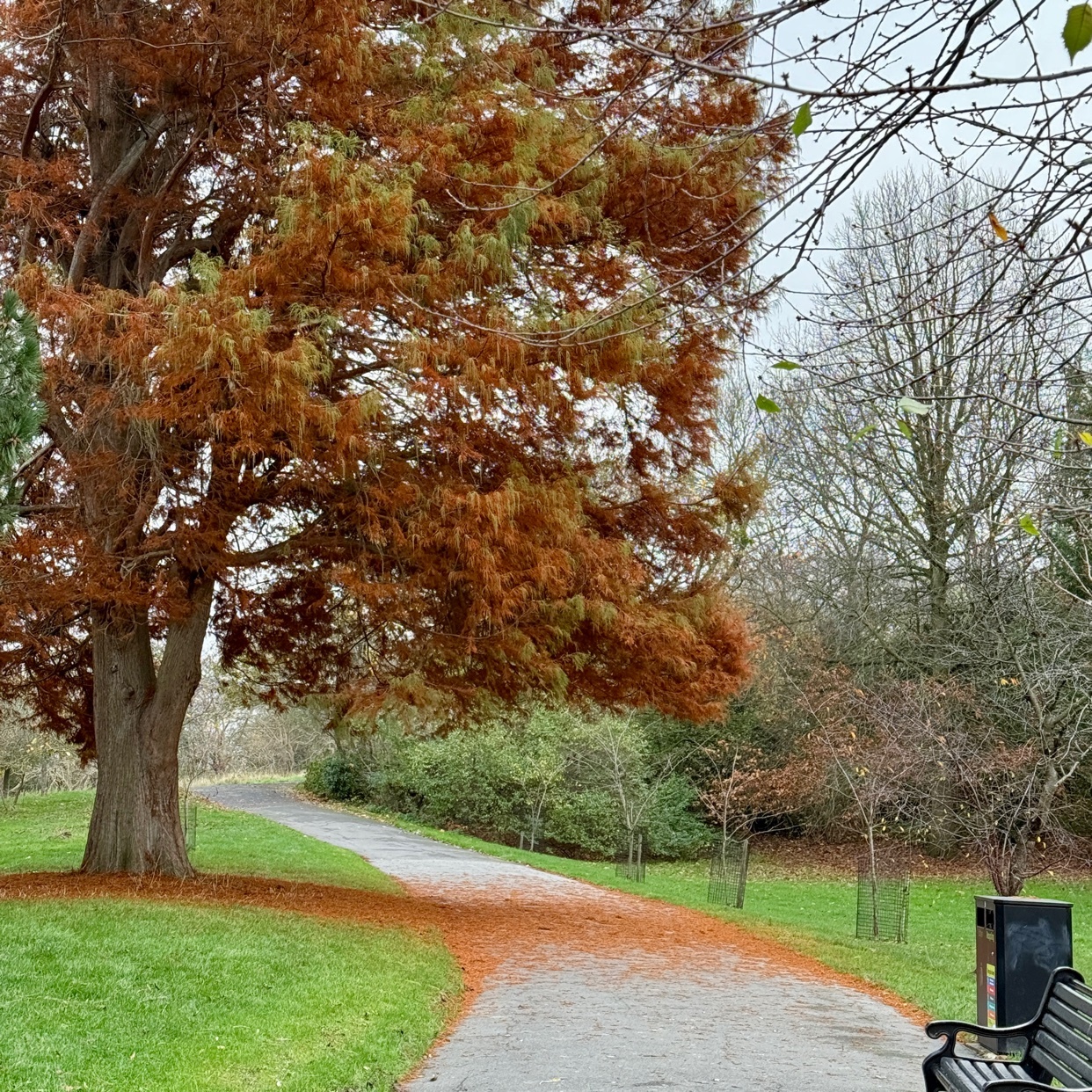 Photo by niklaskallman