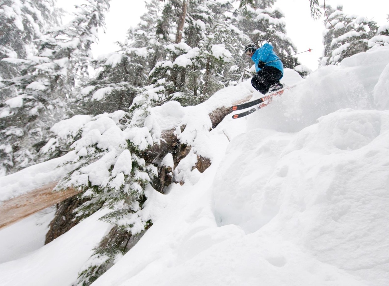 A skier in a blue jacket is captured mid-air, launching off a snowy mound surrounded by snow-covered trees. The image conveys a sense of dynamic action and winter adventure.