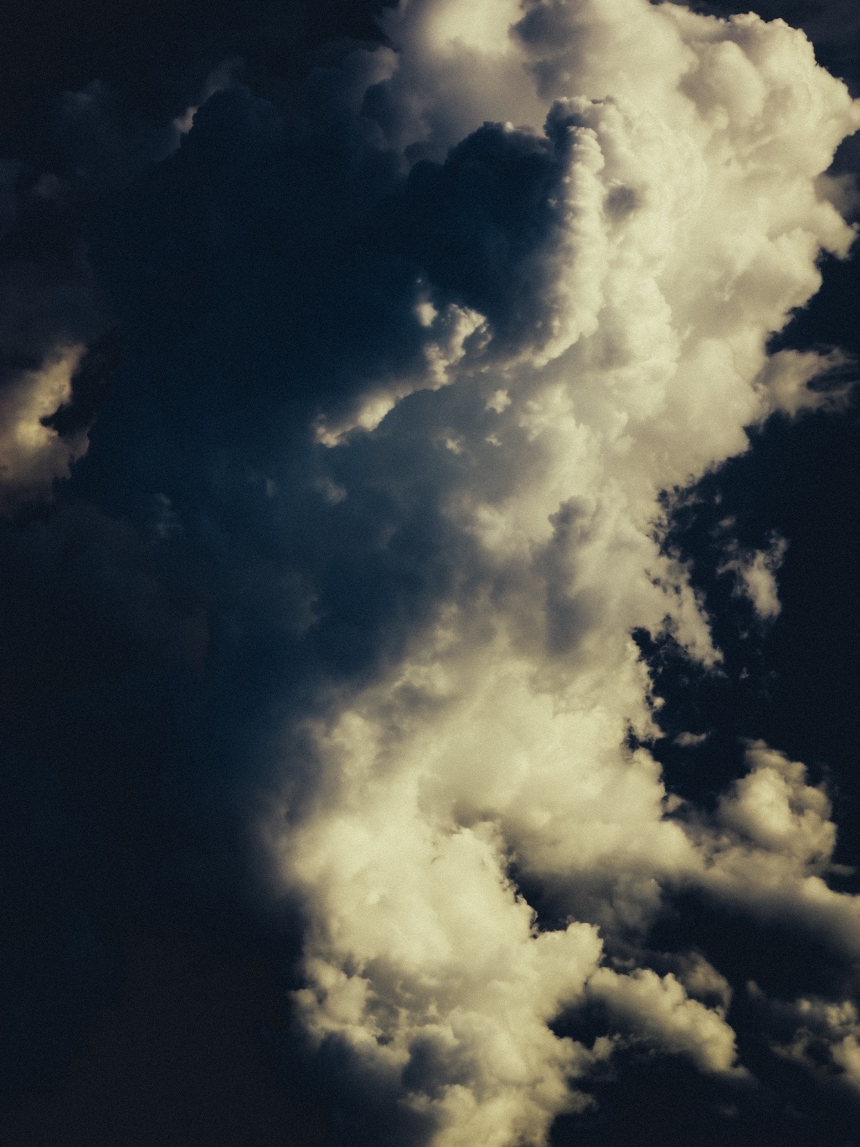 Photo by stbnch