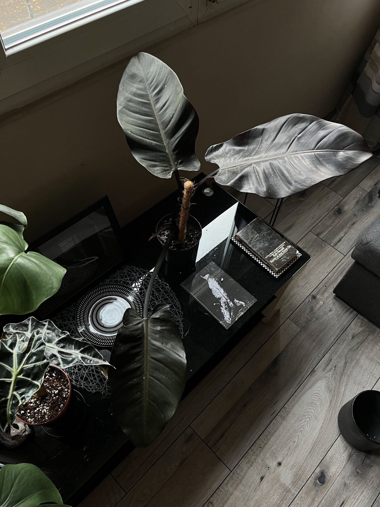 Photo by visionsxvisions