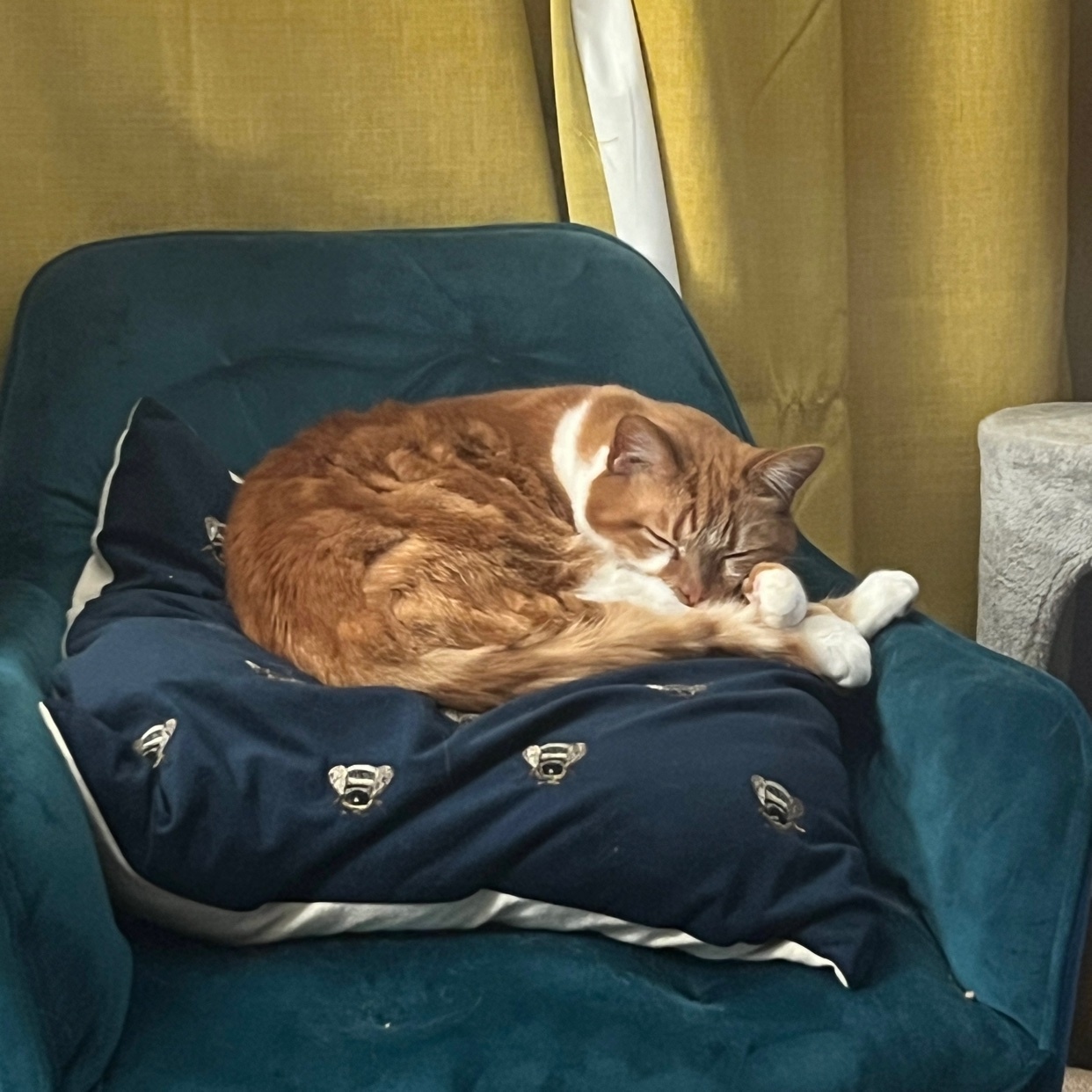 Photo by cal_rykardt