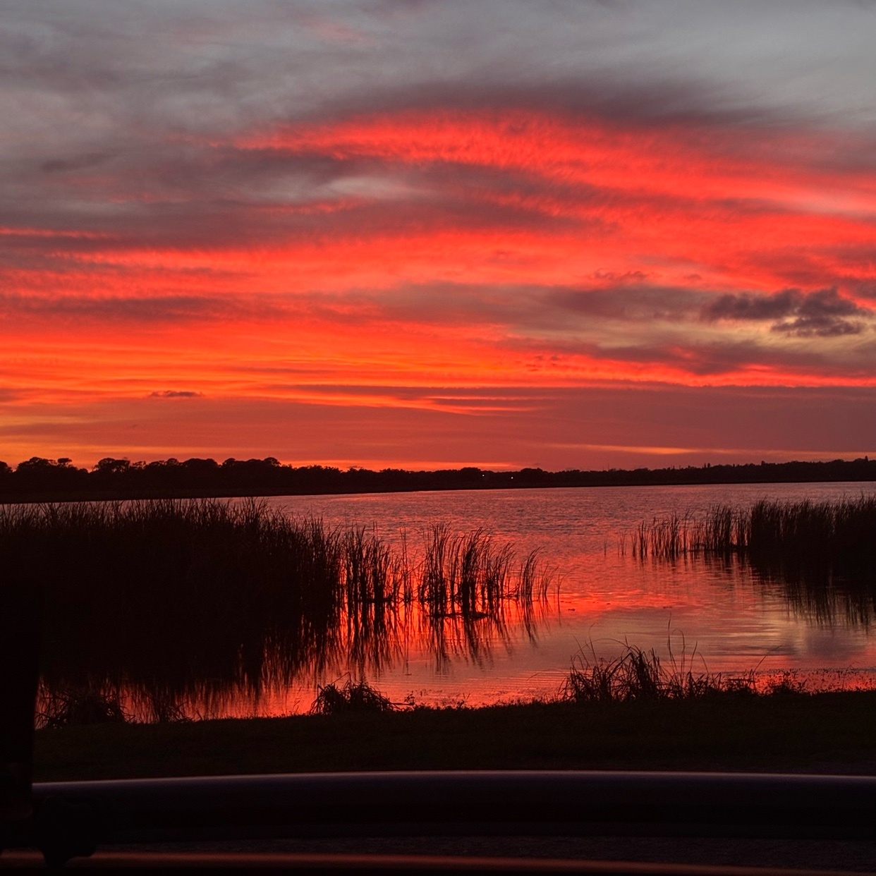 A vibrant sunset paints the sky with fiery oranges and reds, reflected beautifully in the calm waters of a lake. Silhouetted reeds line the shore, adding a dramatic contrast to the colorful sky.