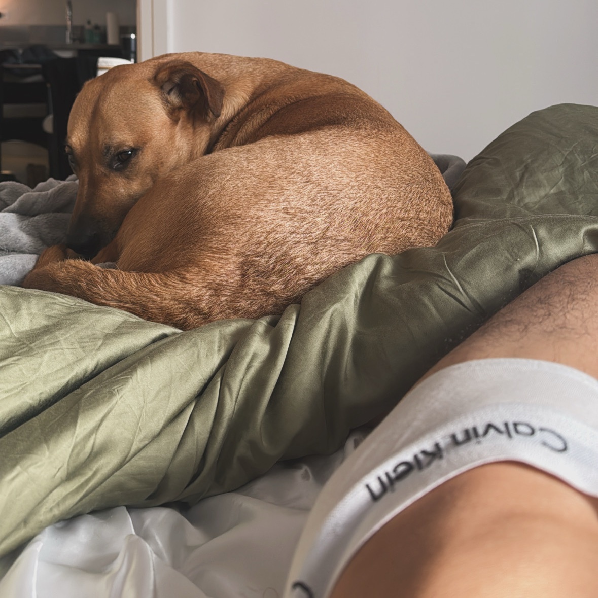 Photo by apollo_noir