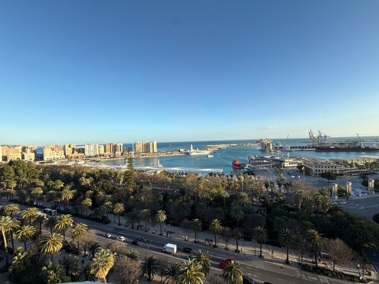 A scenic view of Malaga, Spain, featuring a cityscape with palm trees and a harbor under a clear blue sky.