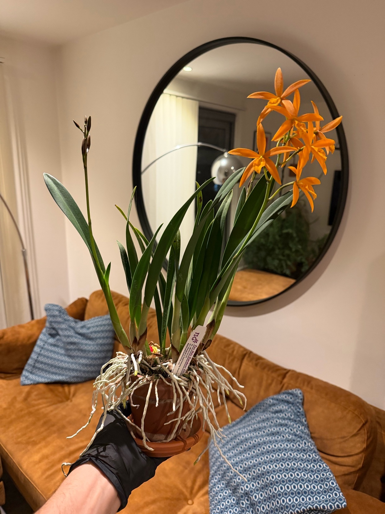 Photo by eduardo-1985