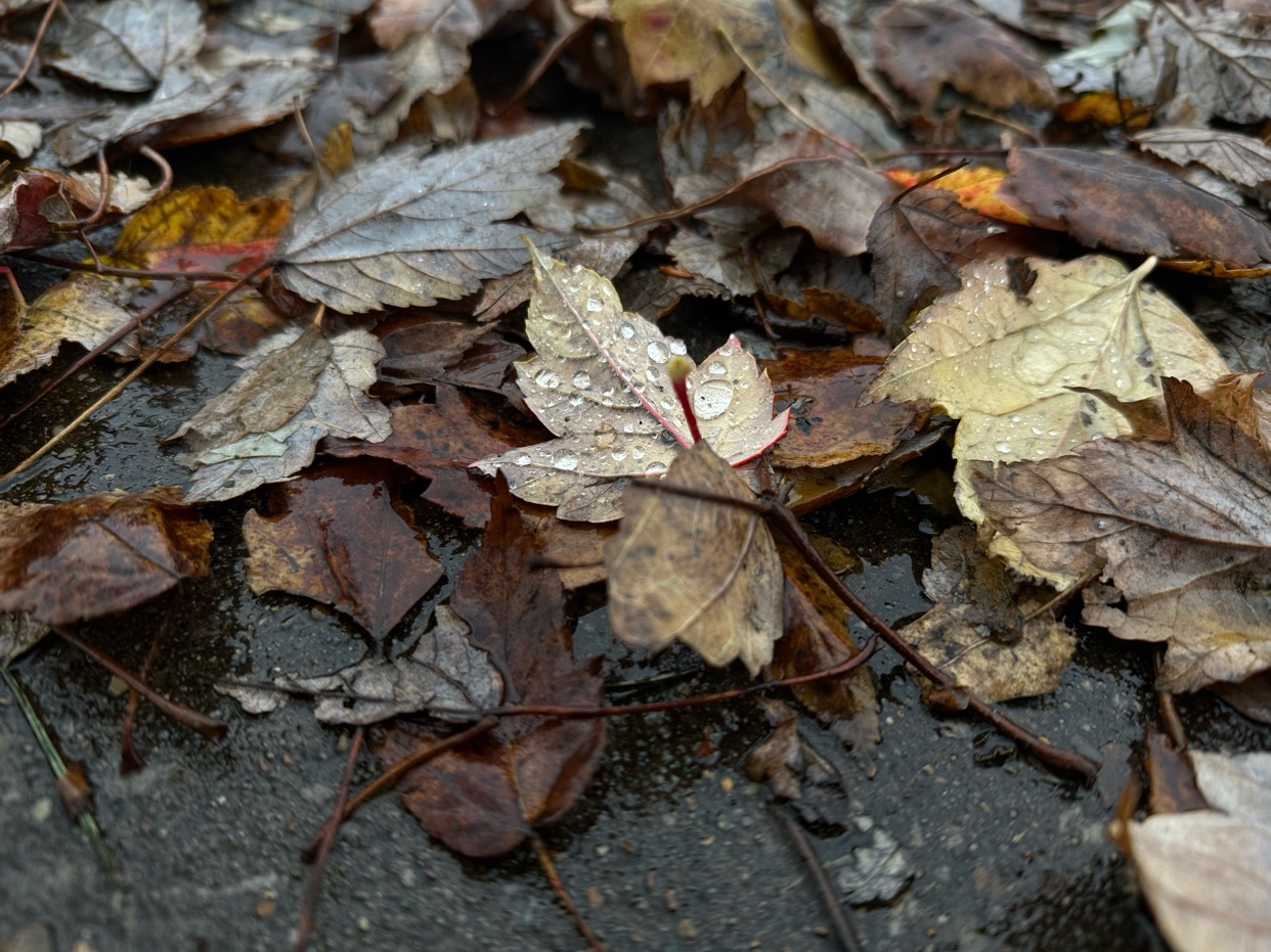 Photo by blessedjess