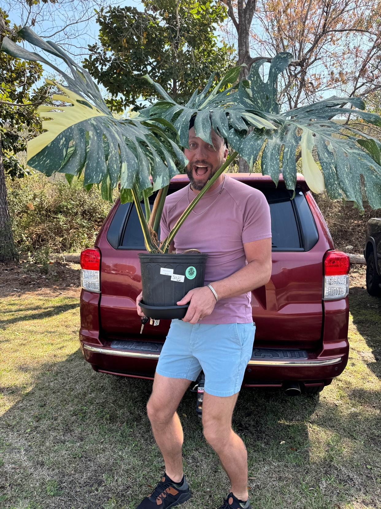 A man with a wide, excited expression holds a large, variegated monstera plant in front of a maroon SUV. He is wearing a pinkish-purple t-shirt and light blue shorts, with a black backpack visible on the car behind him.