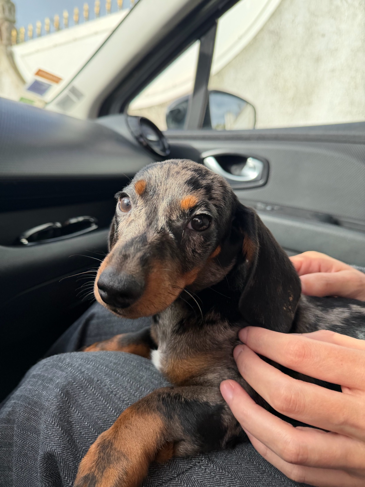 Photo by boredrodrigo