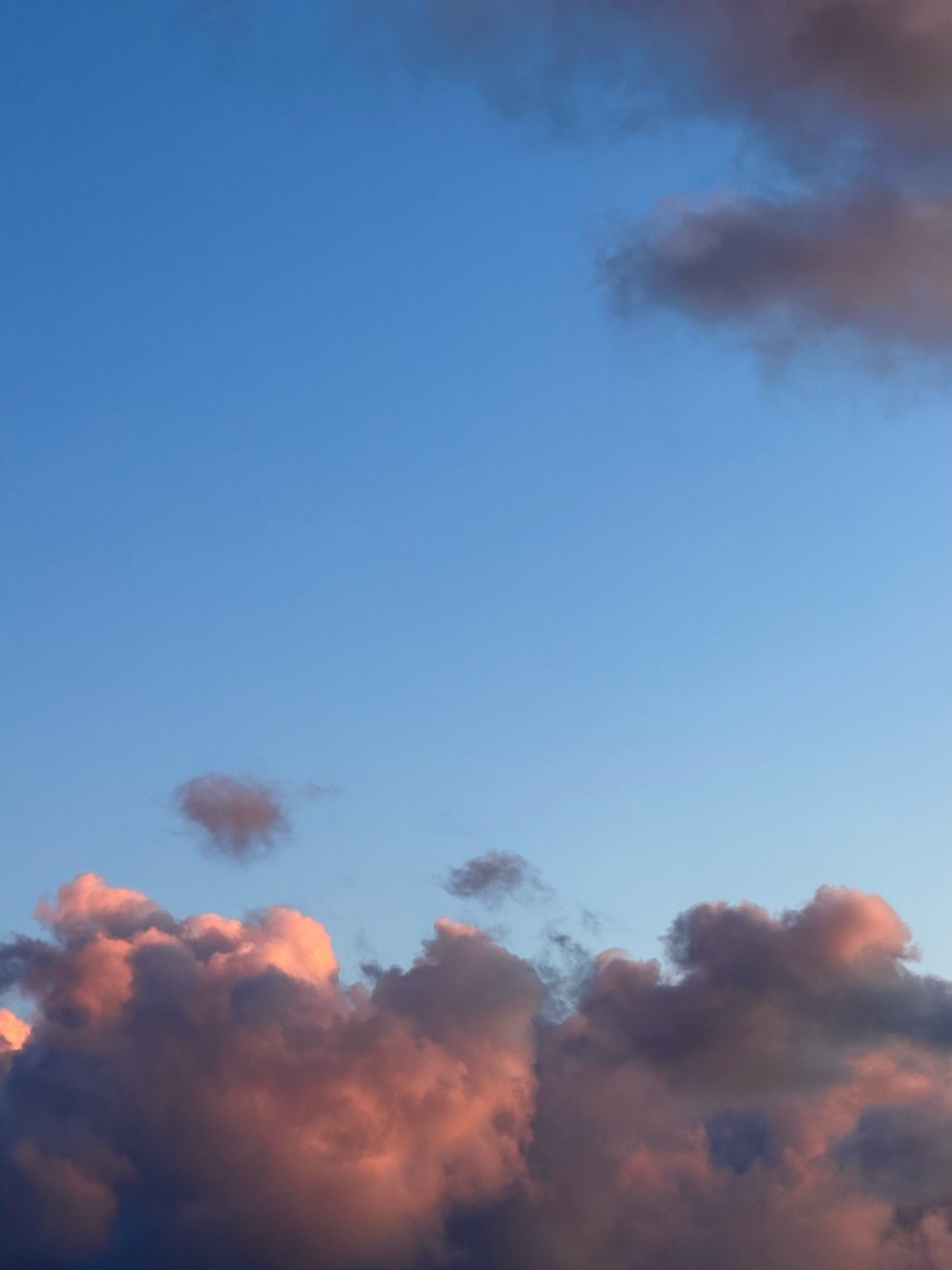 Photo by felipe_rooli