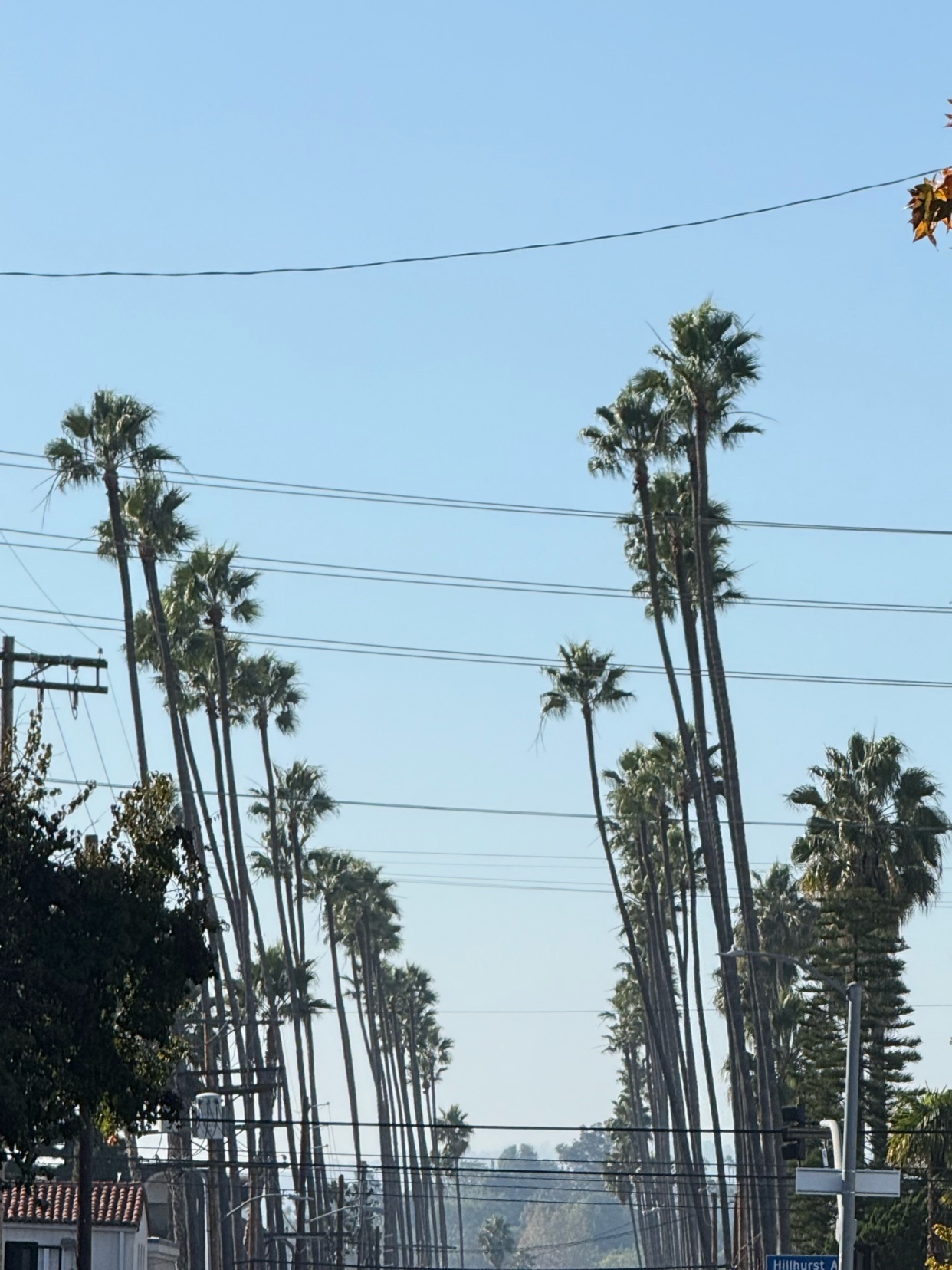 Photo by dendendenden