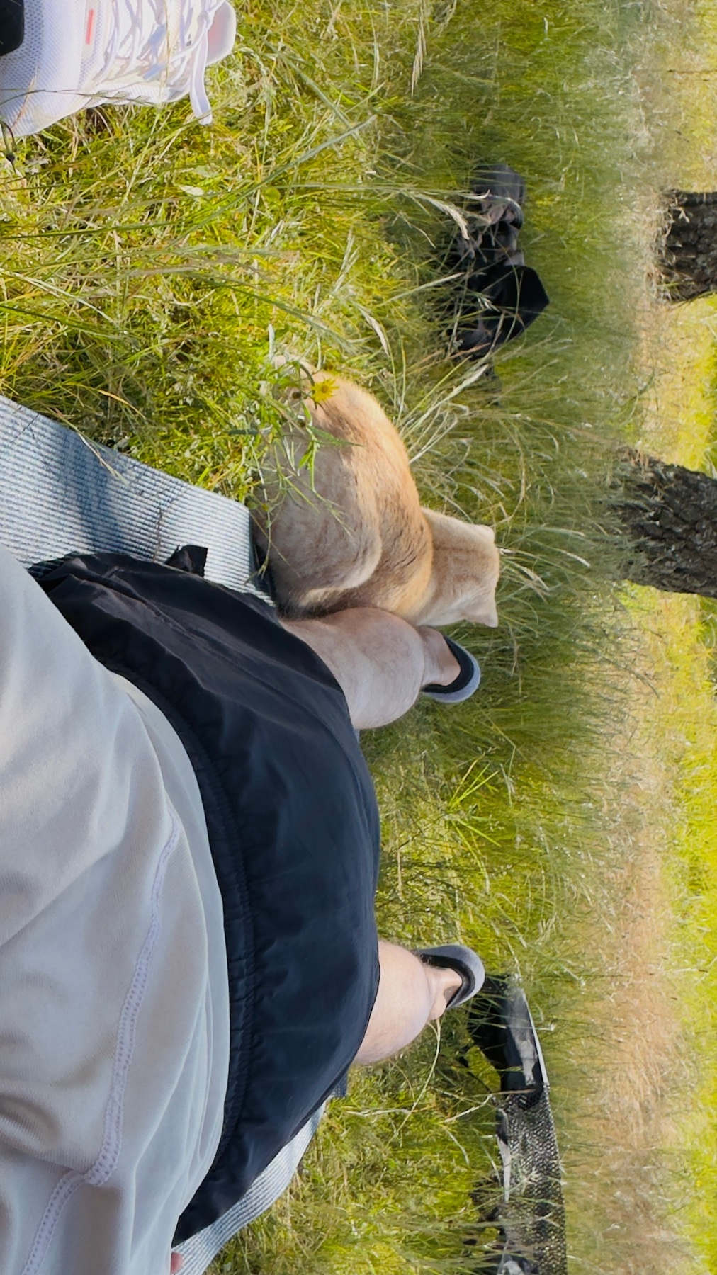 A man's legs are visible, wearing shorts and sneakers, resting on a blanket in a grassy outdoor setting. The photo is taken from a first-person perspective.