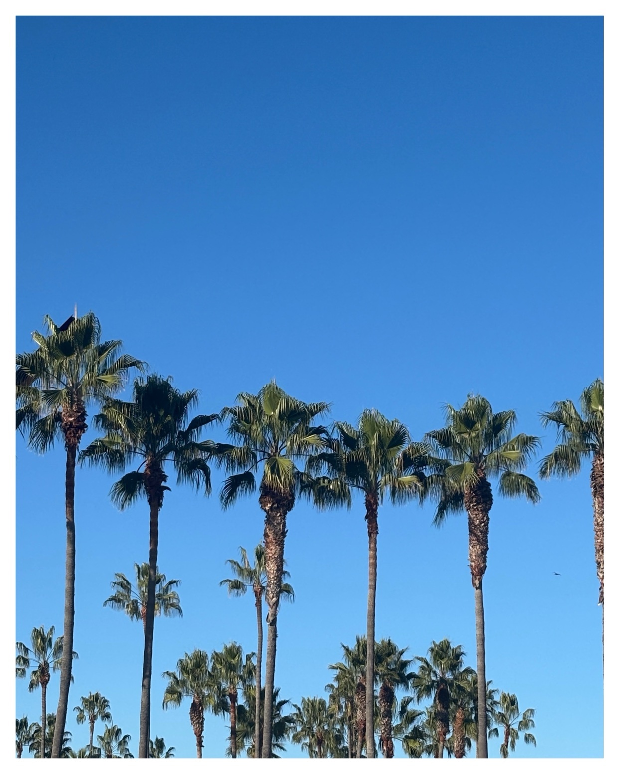 Photo by hugues-ferriere