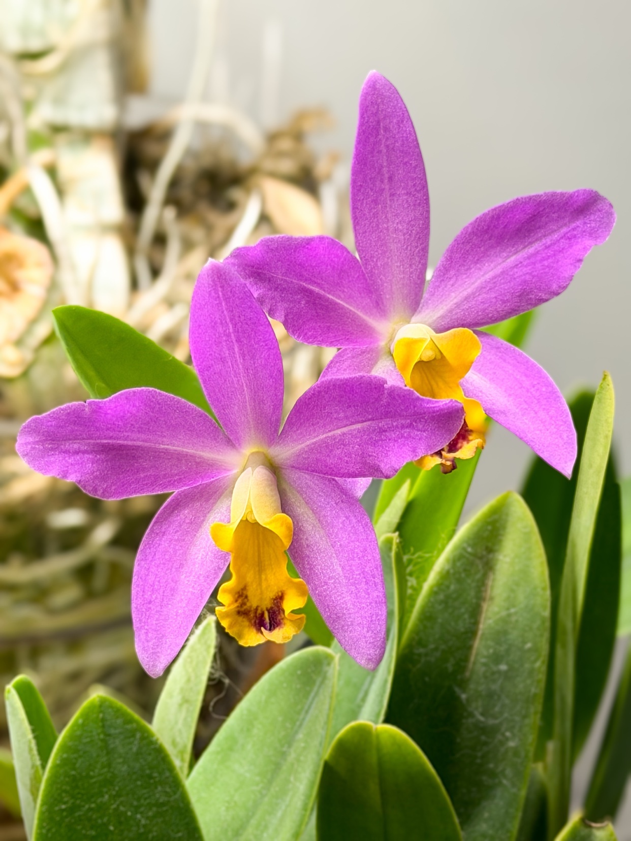 Photo by eduardo-1985