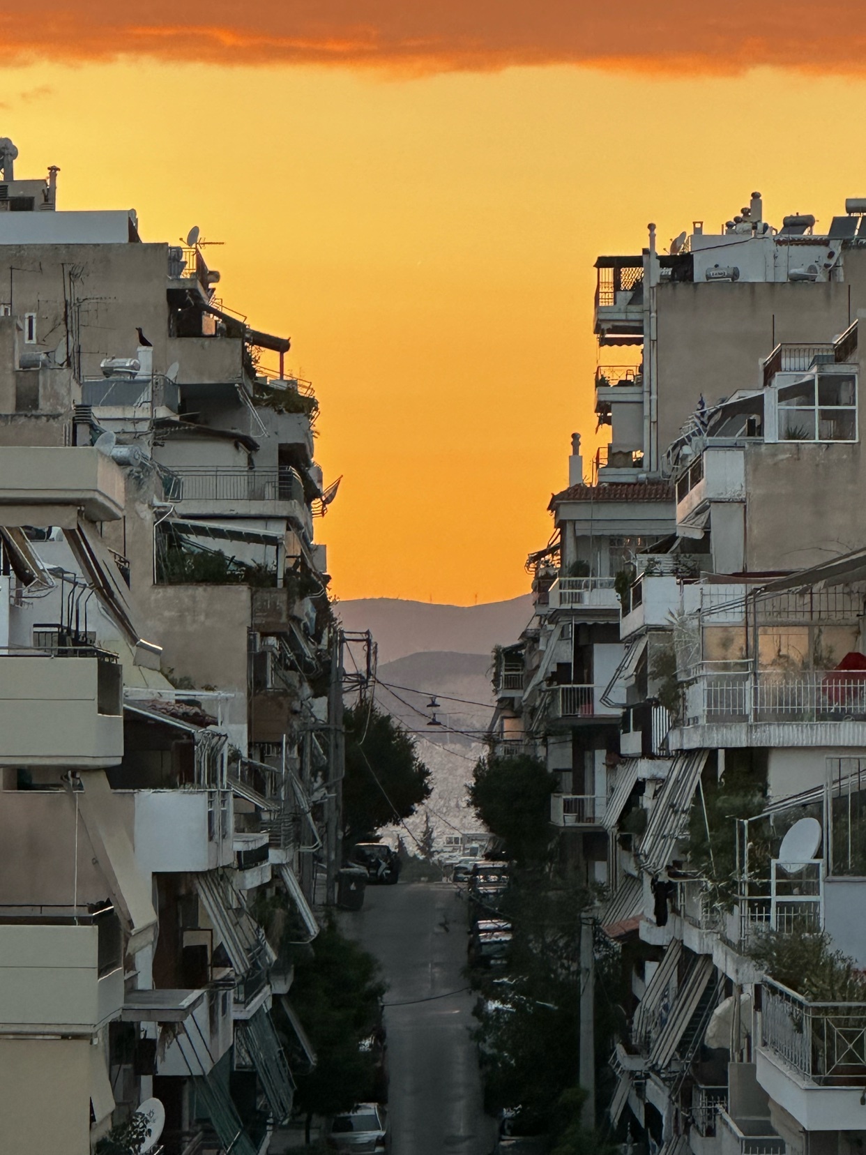 A vibrant orange sunset illuminates the sky above a dense urban cityscape. Apartment buildings with numerous balconies line a street leading towards a distant body of water.