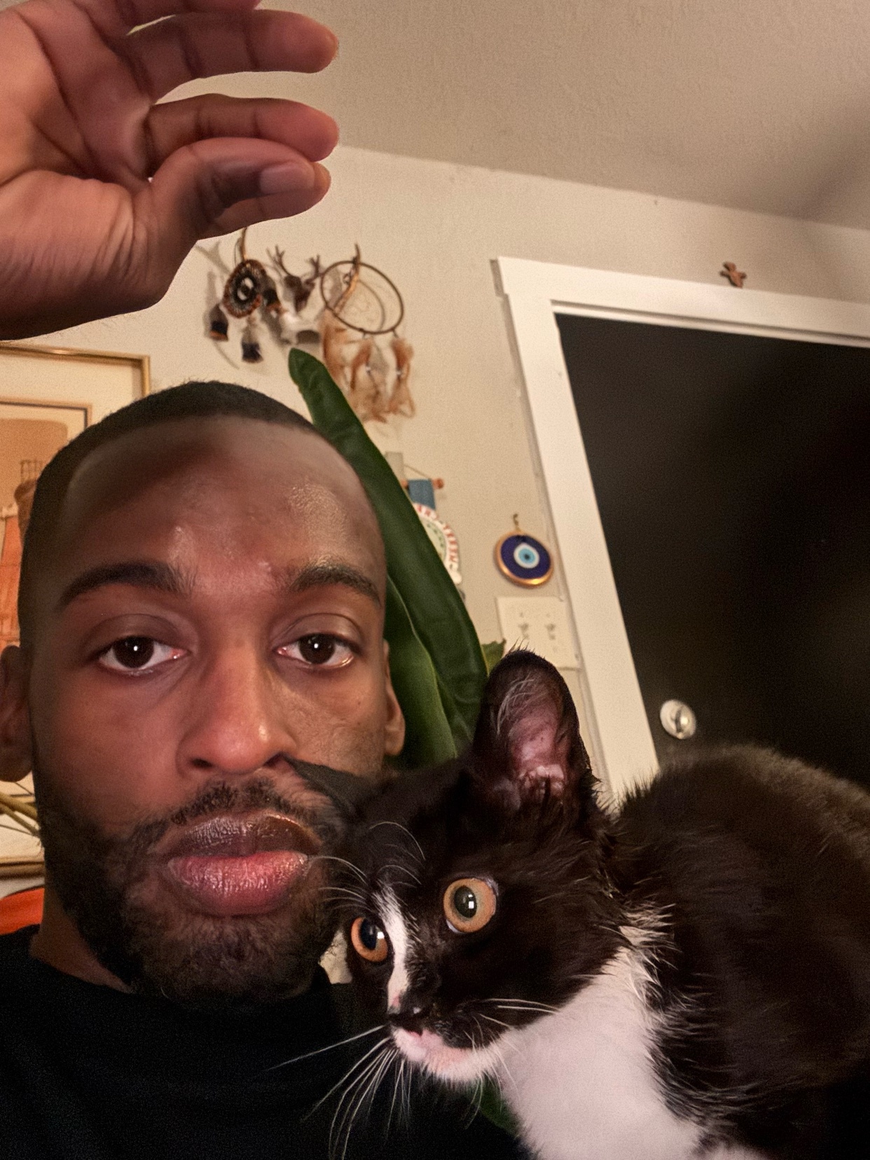 Photo by ohdamnitsdonny