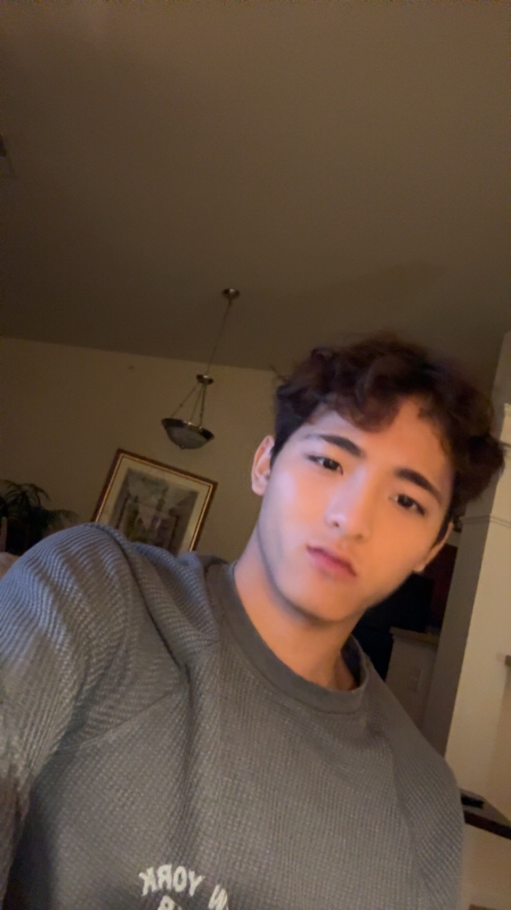 A young man with curly dark hair poses for a selfie indoors. He is wearing a grey waffle-knit long-sleeved shirt and looking directly at the camera with a neutral expression.