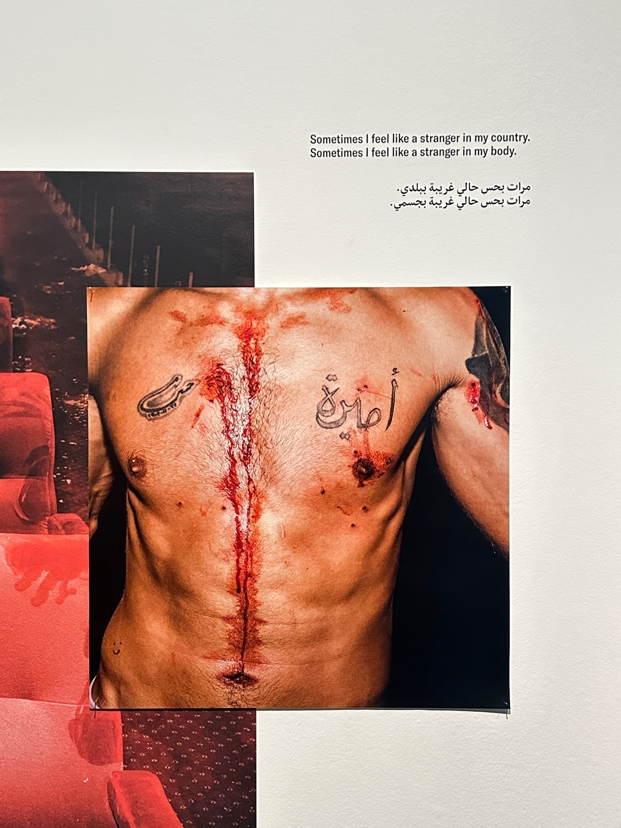 Photo by marygladyshevaa