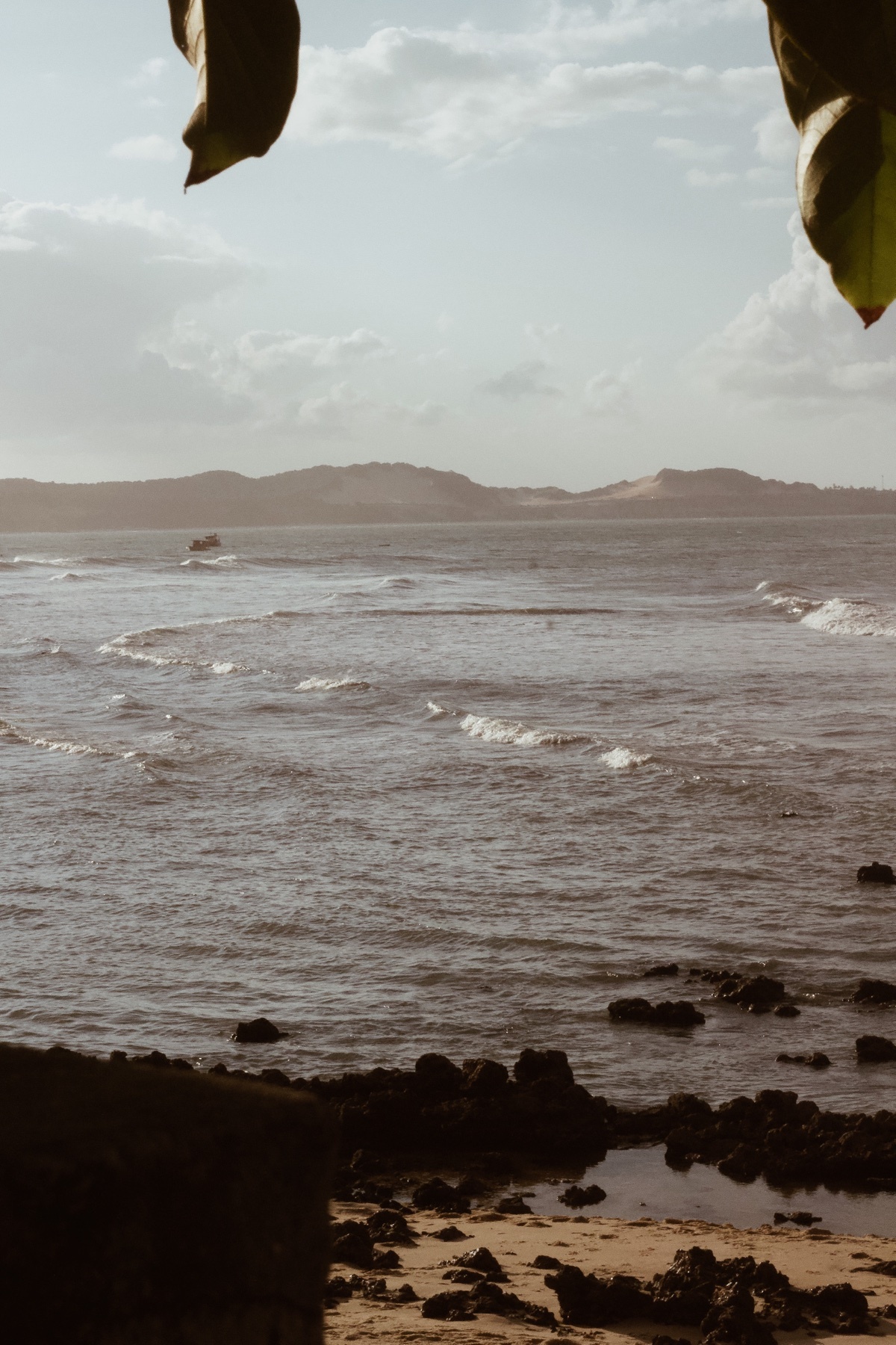 Photo by vinichianca